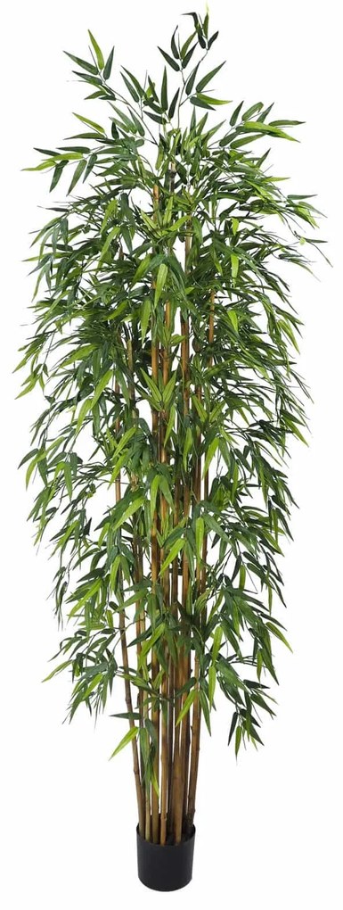 Plant in Pot CONCORAL Bambu Oriental Redondo 4000382-GR