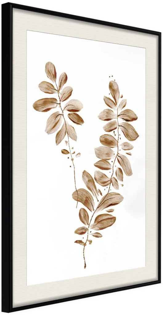 Αφίσα - Botanical Watercolour - 40x60 - Μαύρο - Με πασπαρτού