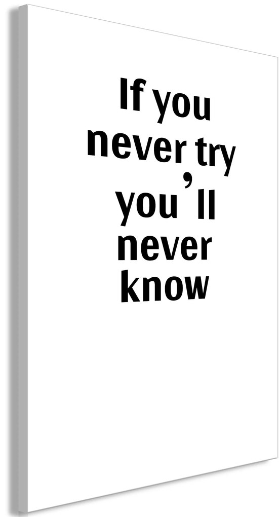 Πίνακας - If You Never Try You'll Never Know (1 Part) Vertical - 80x120