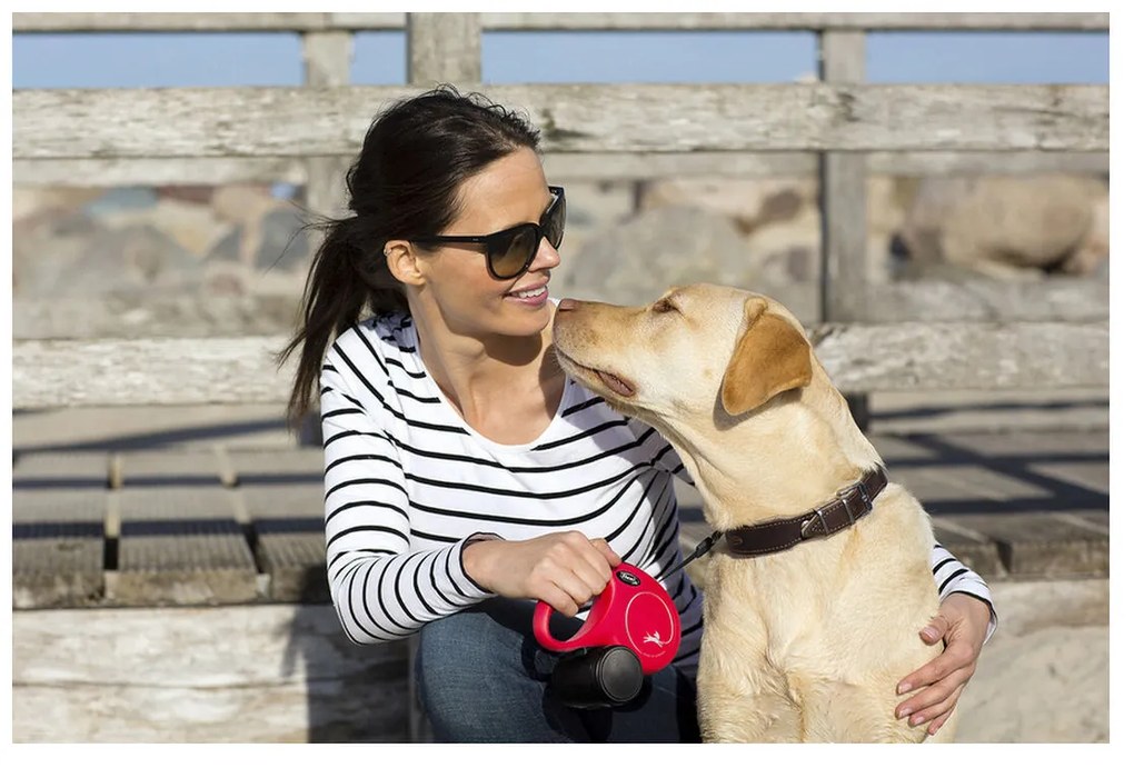 Λουρί Σκύλου Flexi NEW CLASSIC Μαύρο M