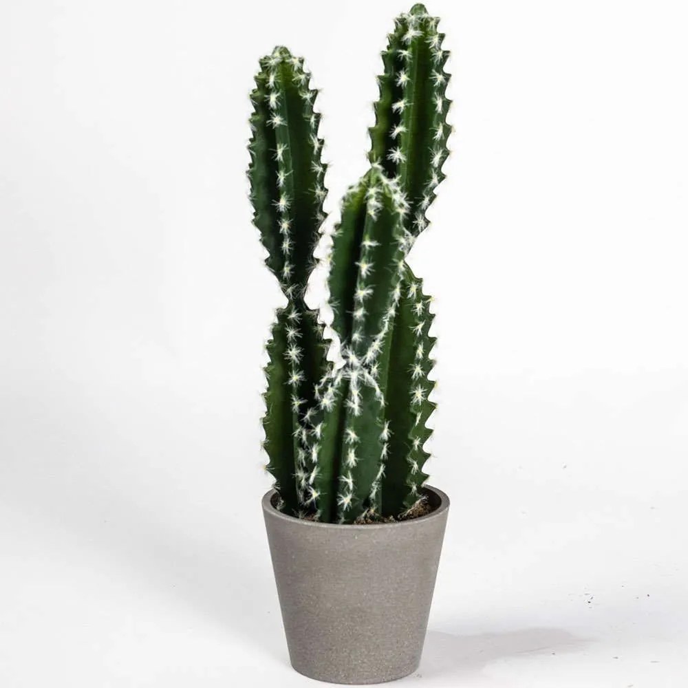 Τεχνητό Φυτό Εφόρμπια Caerulescens 0880-6 50cm Green Supergreens Polyethylene