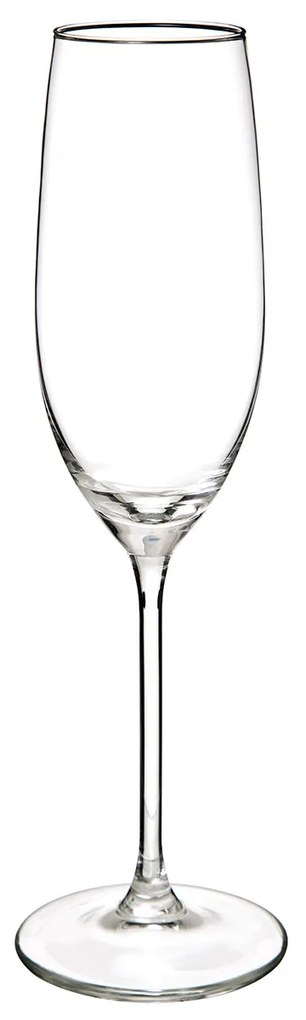 Ποτήρι Σαμπάνιας Κολωνάτο 210ml S-D Lina 154706