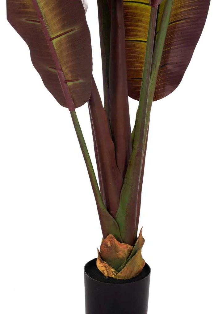 ΔΙΑΚΟΣΜΗΤΙΚΟ ΣΥΝΘΕΤΙΚΟ ΦΥΤΟ HM4740 ΙΑΠΩΝΙΚΗ ΜΠΑΝΑΝΑ ΣΕ ΓΛΑΣΤΡΑ 85x75x225Υεκ.