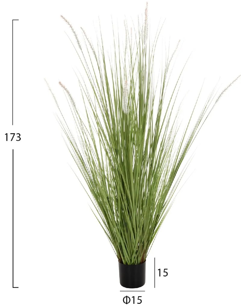 ΔΙΑΚΟΣΜΗΤΙΚΟ ΣΥΝΘΕΤΙΚΟ ΦΥΤΟ HM4017 BRISTLEGRASS ΣΕ ΓΛΑΣΤΡΑ 173Υεκ.