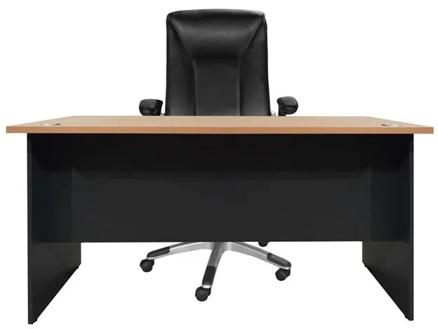 ΓΡΑΦΕΙΟ ΕΠΑΓΓΕΛΜΑΤΙΚΟ SIENNA 120x70x75Y-- HM2015.01 ΓΚΡΙ-ΟΞΙΑ