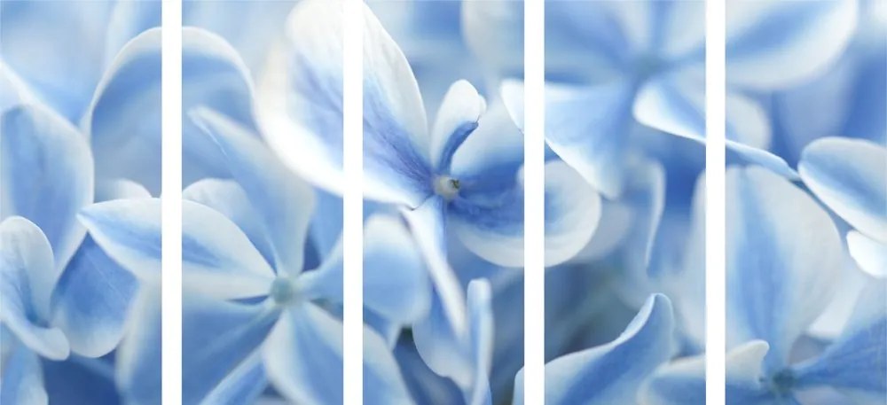 Εικόνα 5 τμημάτων μπλε και λευκά λουλούδια ορτανσίας - 100x50