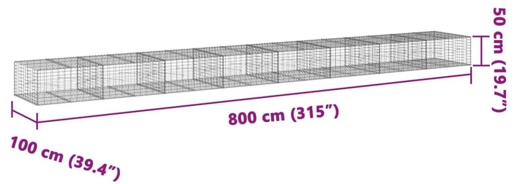 Συρματοκιβώτιο με Κάλυμμα 800x100x50εκ. από Γαλβανισμένο Χάλυβα - Ασήμι