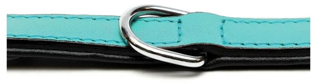 Κολλάρο Σκύλου Gloria Γεμισμένο Turquoise 40 cm (40 x 2 cm)