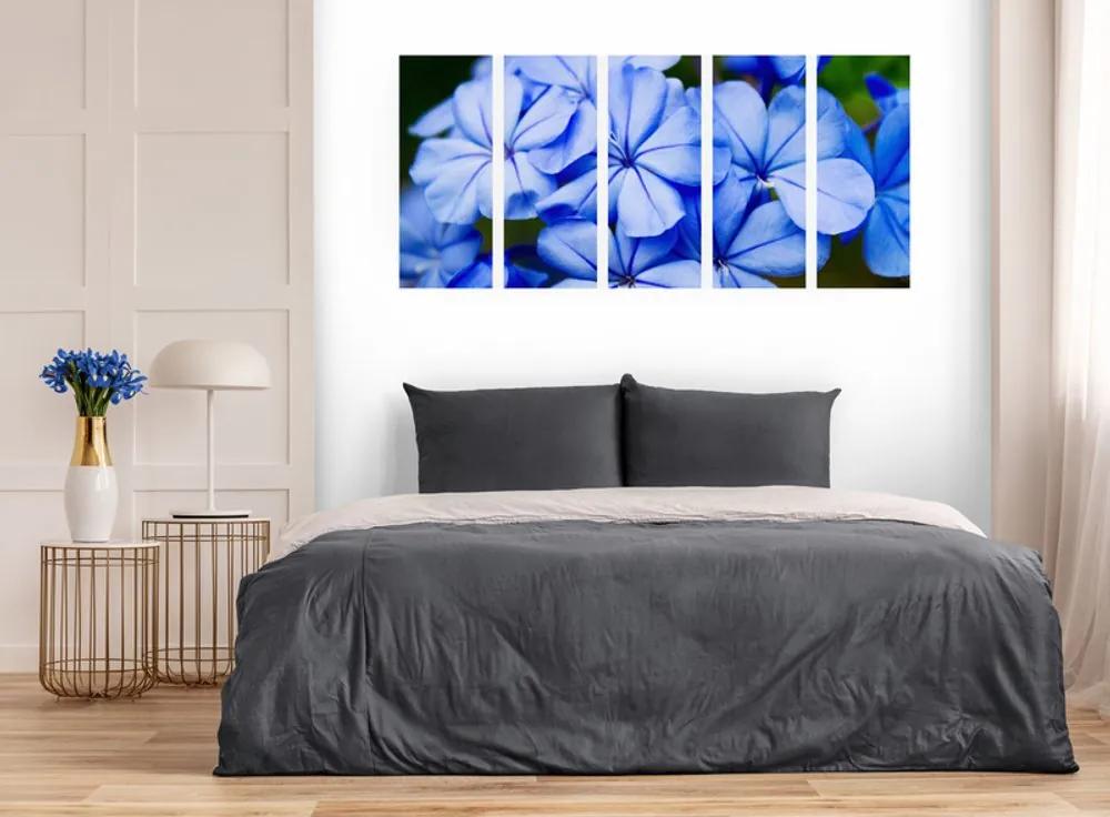 Εικόνα 5 τμημάτων μπλε μπλε λουλούδια - 100x50