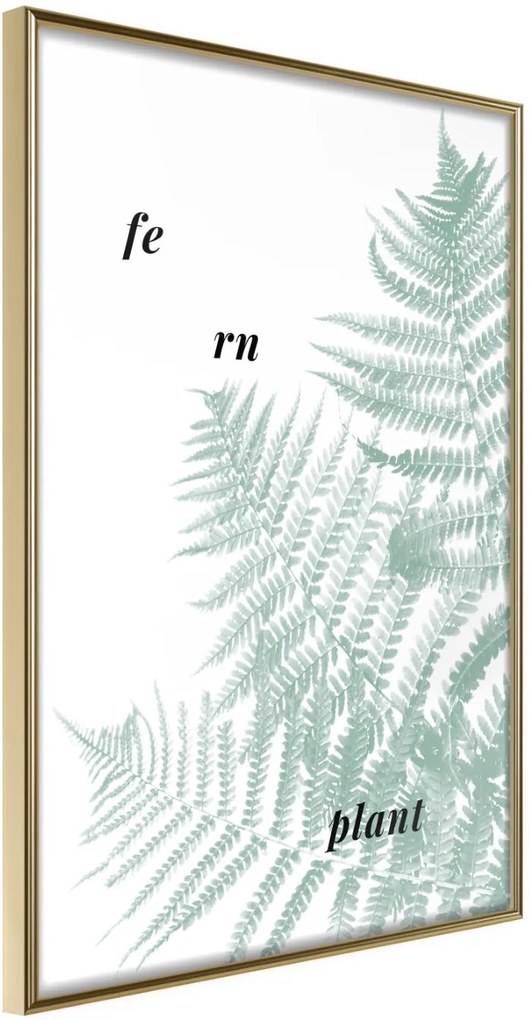 Αφίσα - Pale Green Fern - 20x30 - Χρυσό - Χωρίς πασπαρτού