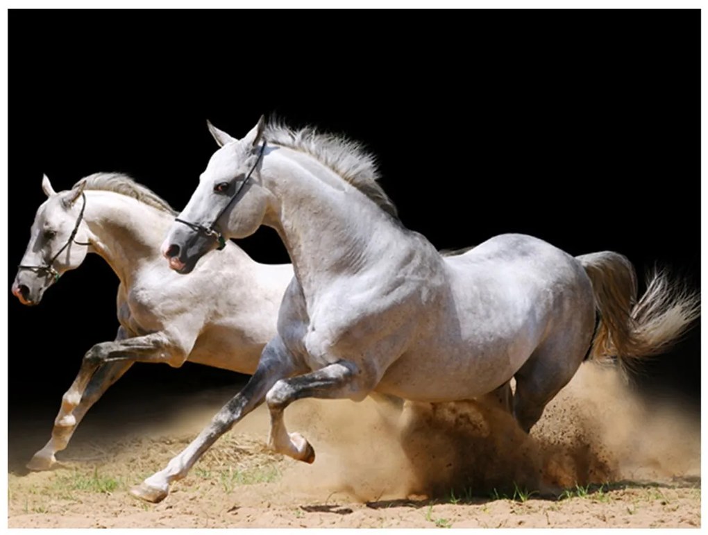 Φωτοταπετσαρία - Galloping horses on the sand 200x154