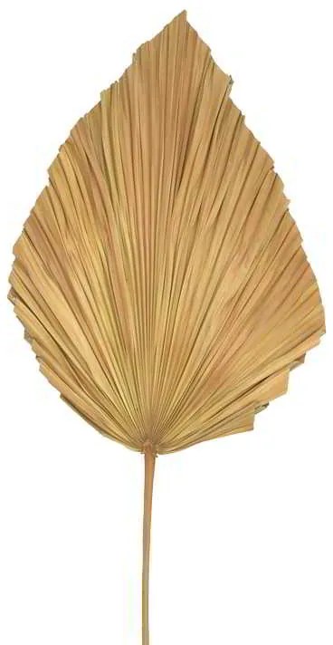 Διακοσμητικό φύλλο Walsy Inart palm leaf σε φυσική απόχρωση Υ135 εκ