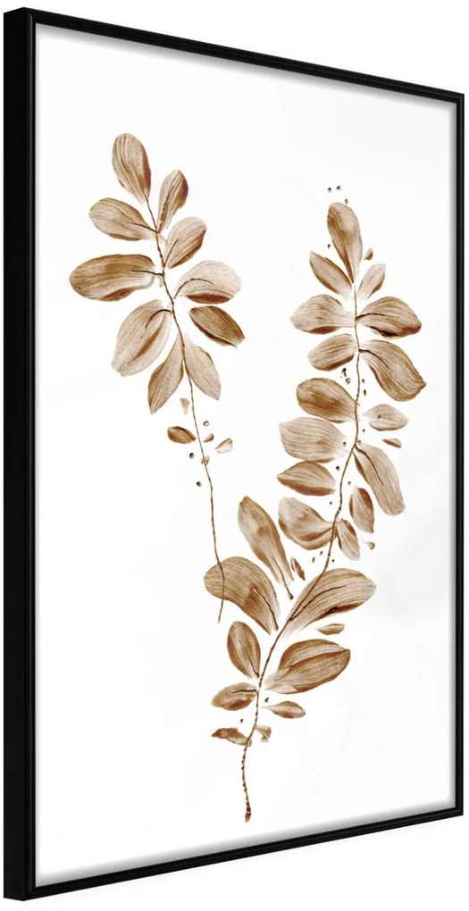 Αφίσα - Botanical Watercolour - 30x45 - Μαύρο - Χωρίς πασπαρτού