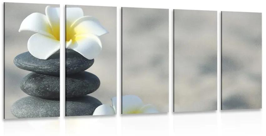 Εικόνα 5 μερών αρμονικές πέτρες και λουλούδι πλουμέρια - 100x50