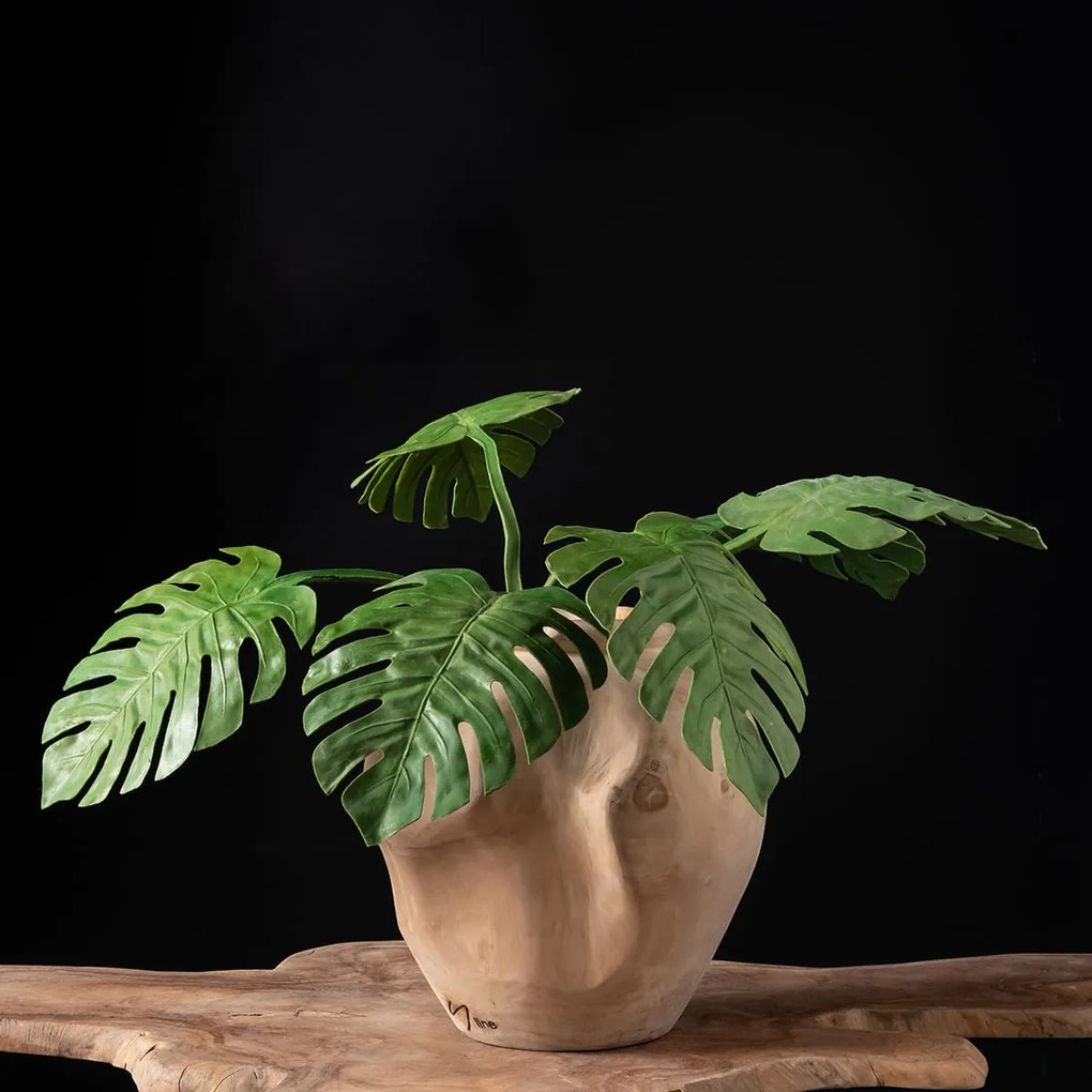 Φύλλωμα – κλαδί Asa 72cm Monstera deliciosa 4024433332879-000M