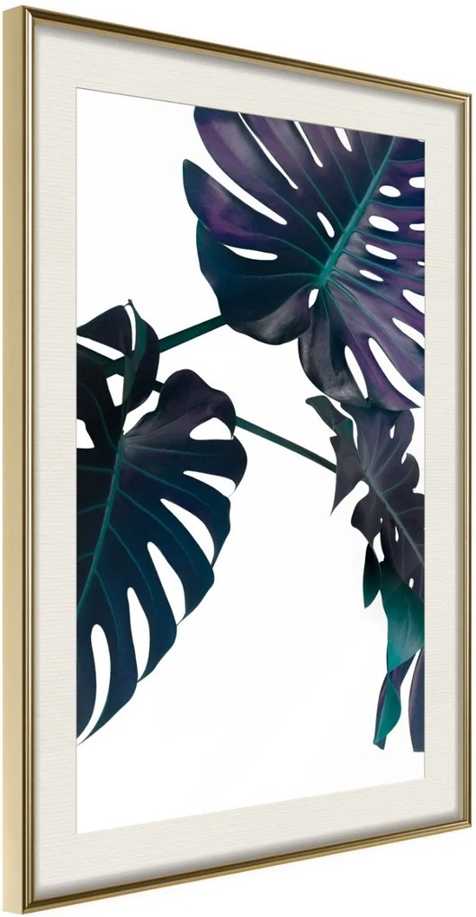 Αφίσα - Evergreen Monstera - 20x30 - Χρυσό - Με πασπαρτού