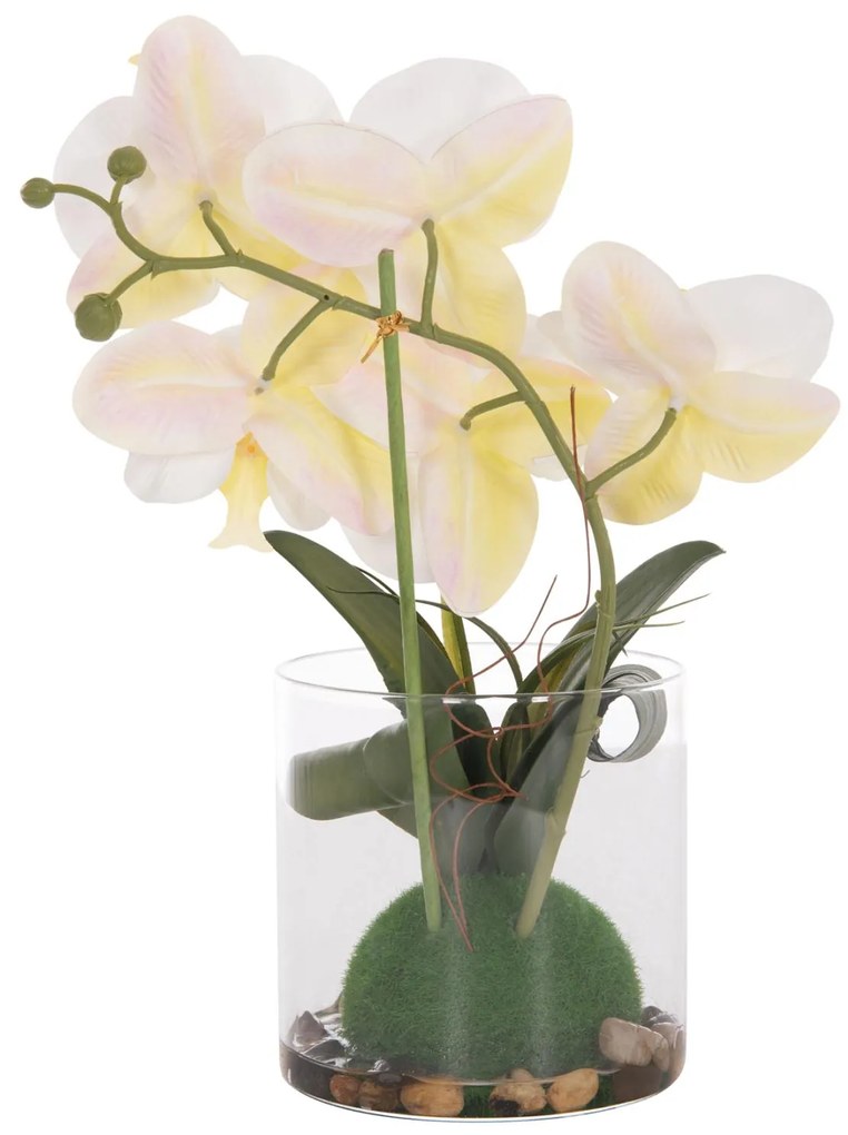 Διακοσμητικό Συνθετικό Φυτό Λουλούδι PHALAENOPSIS C4738 σε Γυάλινο Βάζο 12x24x30Υεκ 12x24x30 εκ.