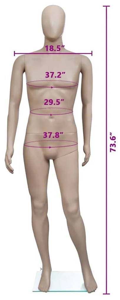 vidaXL Κούκλα Βιτρίνας Άνδρας Στρογγυλό Κεφάλι