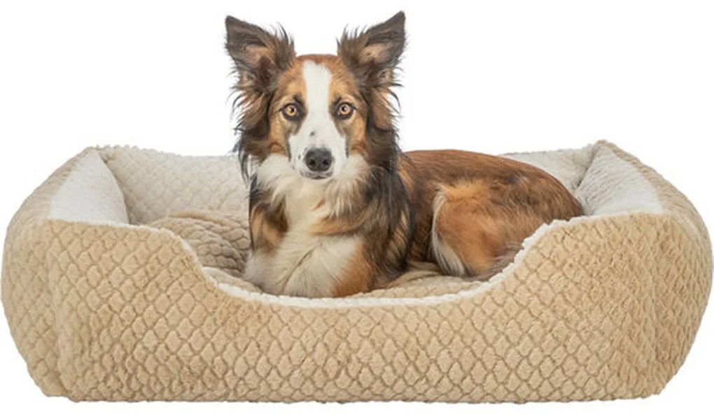 Κρεβάτιγια Σκύλους Trixie Kaline Mio Καφέ Κρεμ 65 x 50 cm