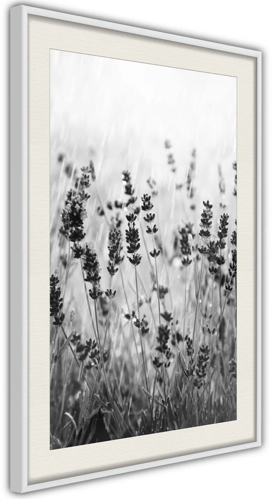 Αφίσα - Shadow of Meadow - 20x30 - Χρυσό - Με πασπαρτού