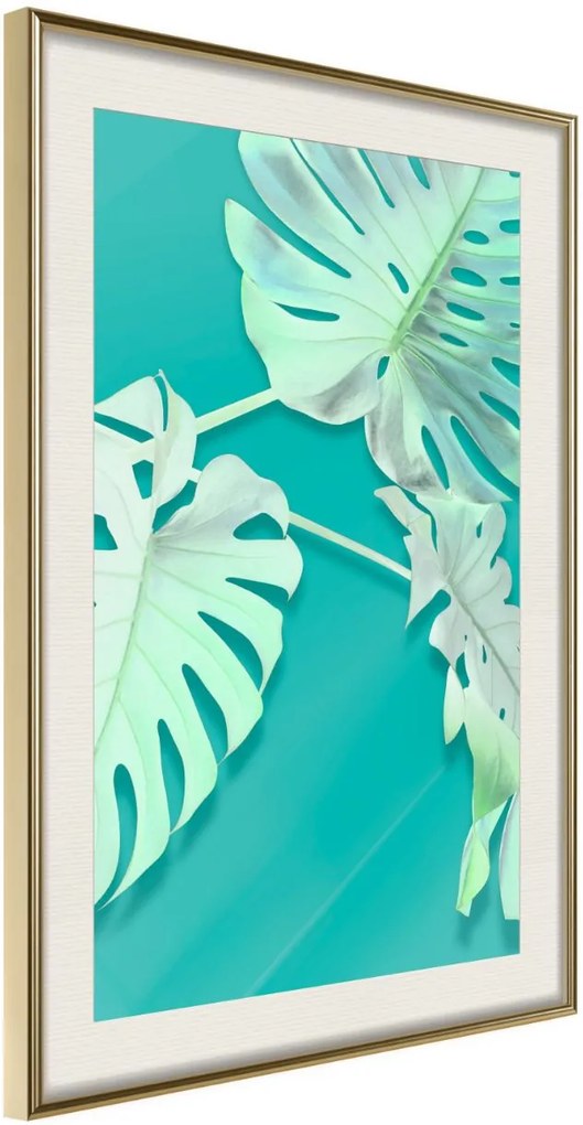 Αφίσα - Teal Monstera - 20x30 - Χρυσό - Με πασπαρτού