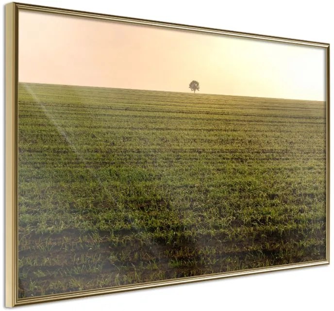 Αφίσα - Farmland - 30x20 - Χρυσό - Χωρίς πασπαρτού