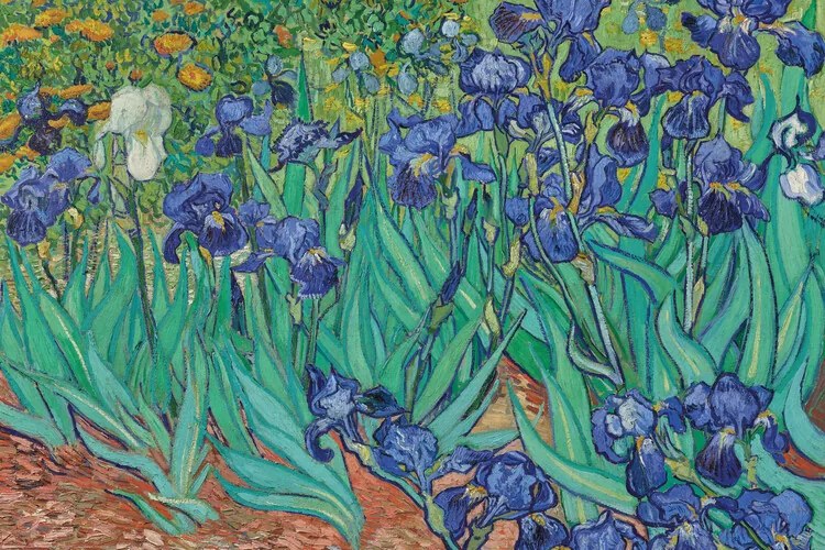 Αφίσα Vincent van Gogh - Les Irises