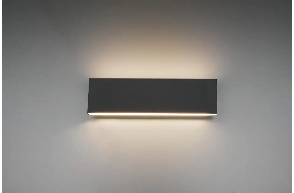 Απλίκα Φωτιστικό Τοίχου 2xLED 6W Up Down Switch Dimmer Concha Trio Lighting-225172942-Ανθρακί 225172942