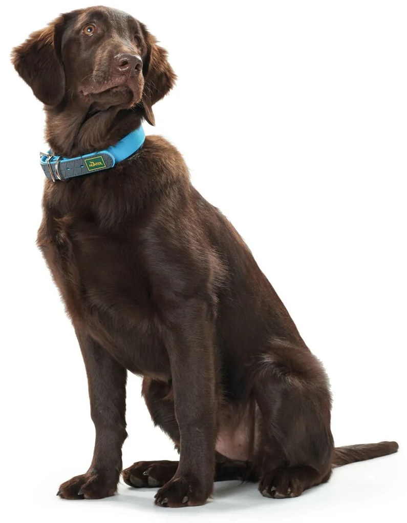 Κολλάρο Σκύλου Hunter Convenience 53-61 cm L/XL Τυρκουάζ