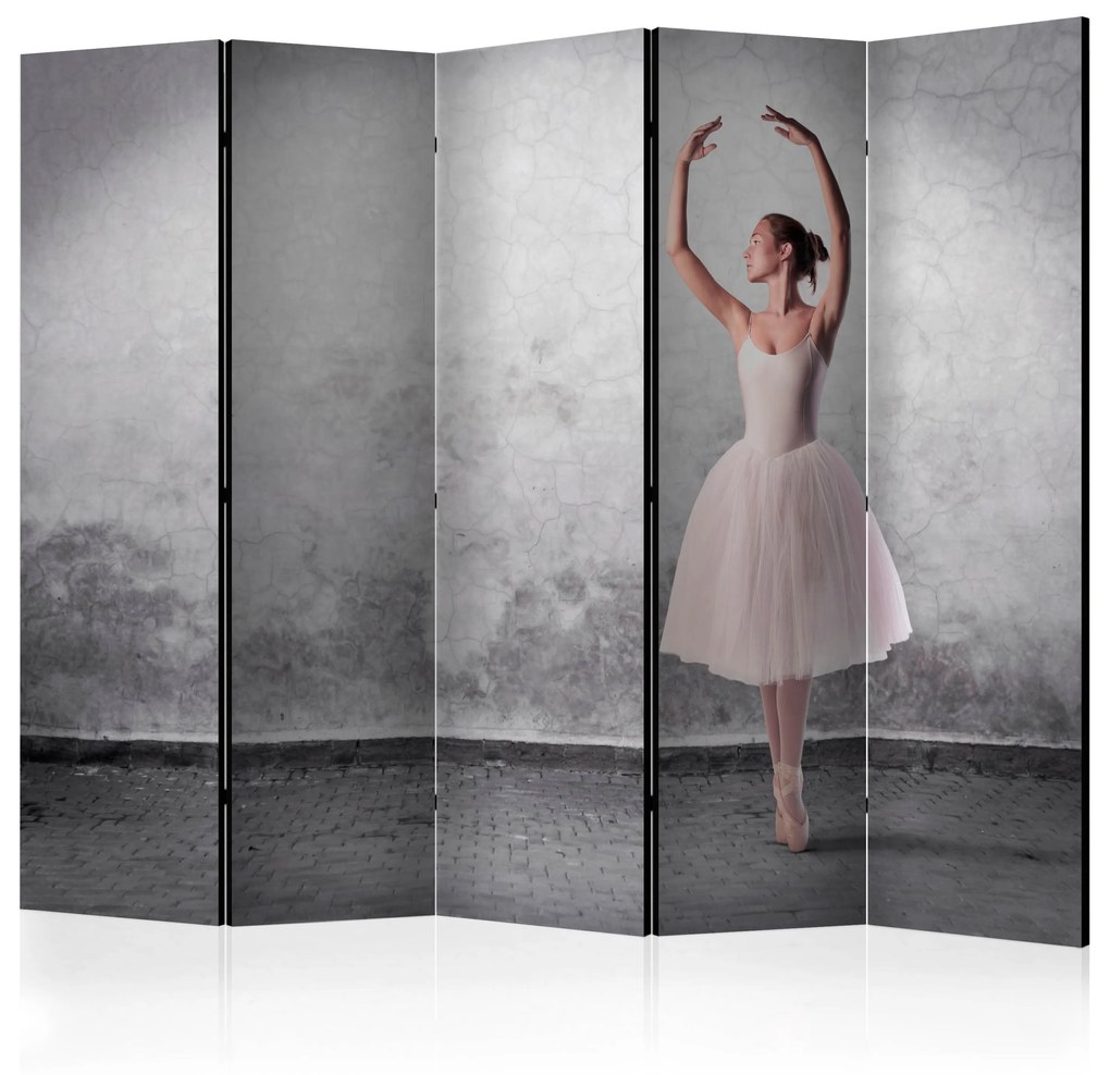 Διαχωριστικό με 5 τμήματα - Ballerina in Degas paintings style II [Room Dividers]