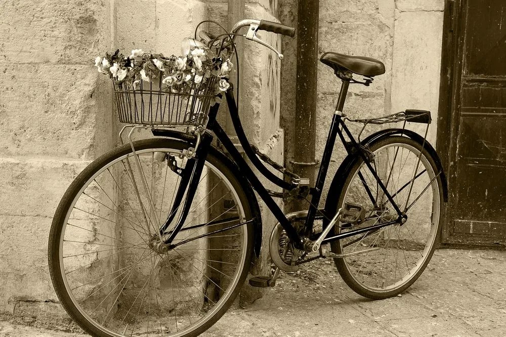 Εικόνα ρουστίκ ποδήλατο σε σχέδιο σέπια - 60x40