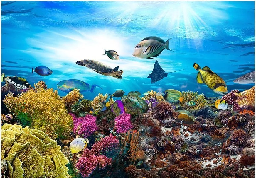 Αυτοκόλλητη φωτοταπετσαρία - Coral reef - 245x175