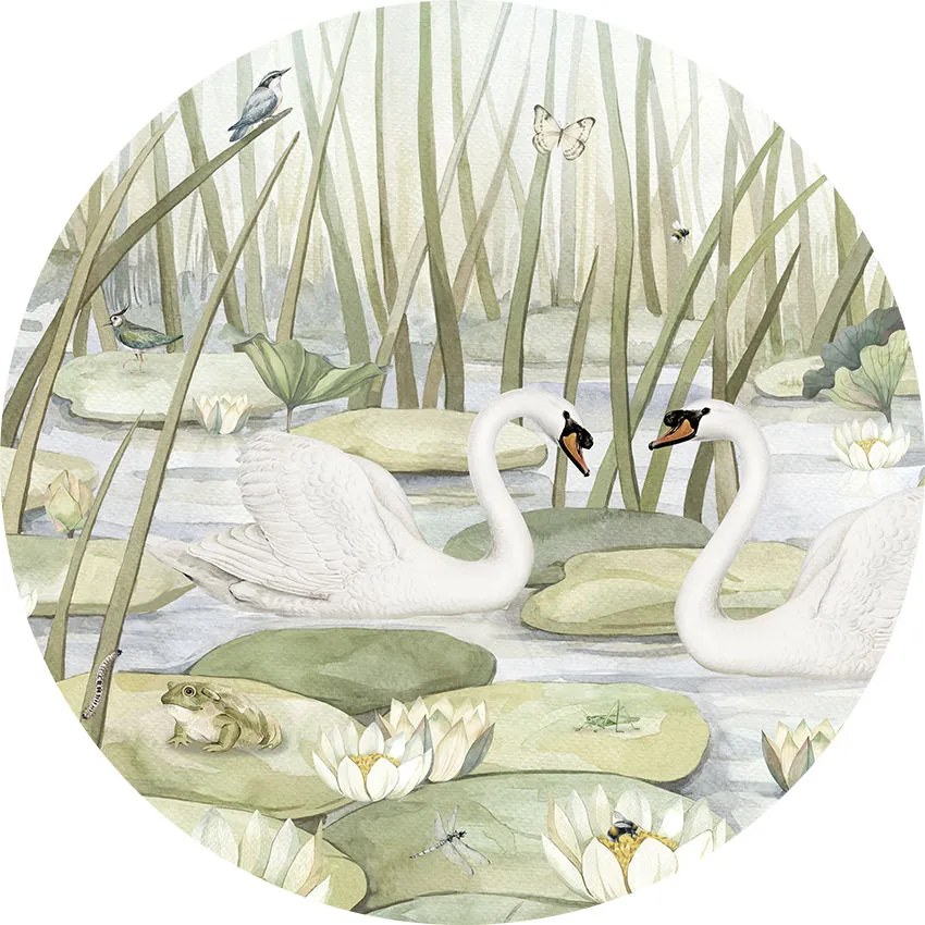 Spectacular Swans Ταπετσαρια Τοιχου Πρασινο Στρογγυλη 80cm