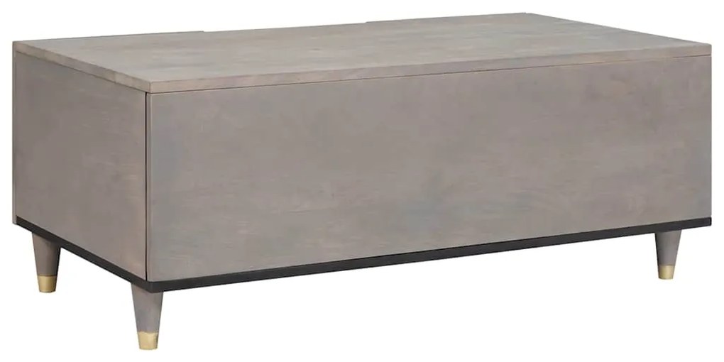 vidaXL Τραπεζάκι σαλονιού Γκρι 100 x 54 x 40 εκ Μασίφ ξύλο μάνγκο