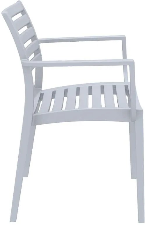 ΠΟΛΥΘΡΟΝΑ ΠΟΛΥΠΡΟΠΥΛΕΝΙΟΥ ARTEMIS SILVER GREY