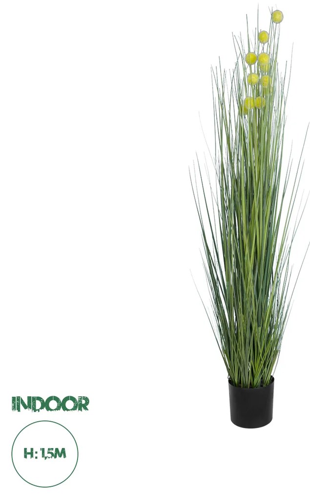 Artificial Garden CRASPEDIA GRASS 20112 Τεχνητό Διακοσμητικό Φυτό Κρασπέδια Υ150cm