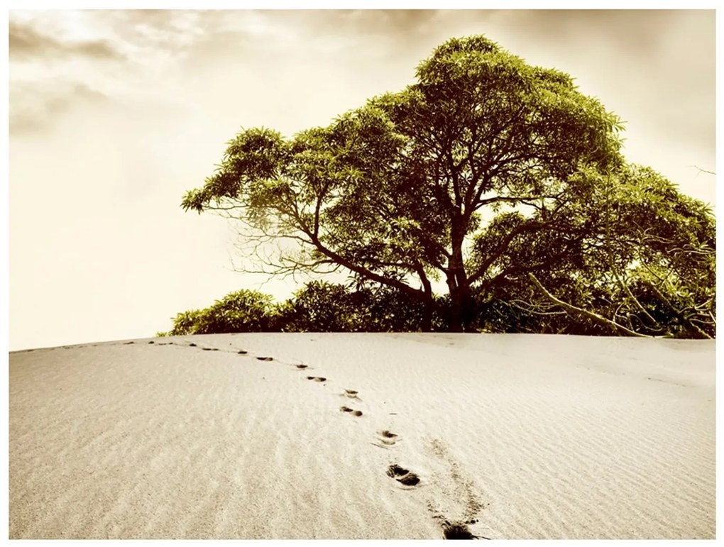 Φωτοταπετσαρία - Tree in the desert 200x154