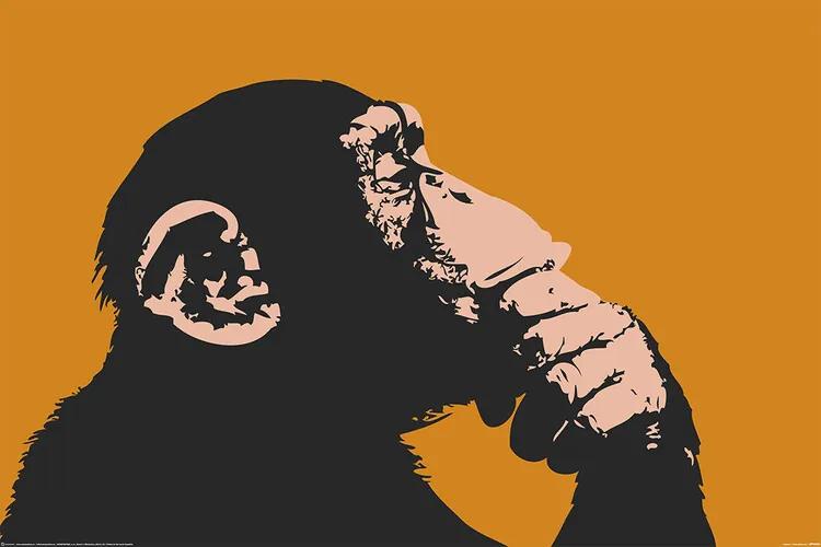 XXL Αφίσα Monkey - Thinking, (120 x 80 cm)