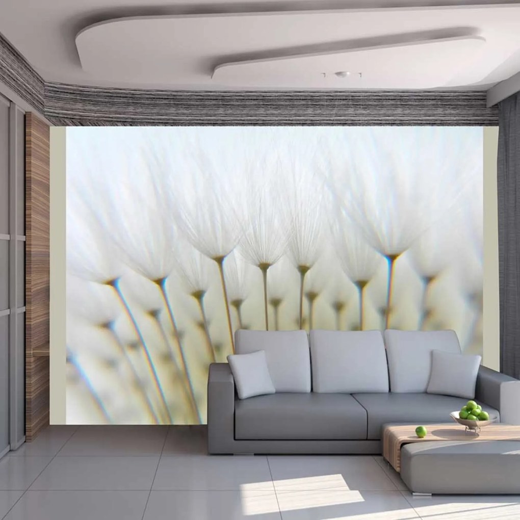 Φωτοταπετσαρία - Dandelion forest 250x193