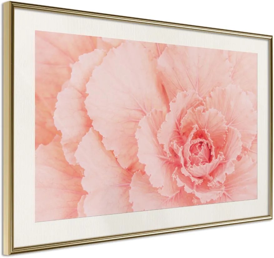 Αφίσα - Delicate Petals - 60x40 - Χρυσό - Με πασπαρτού