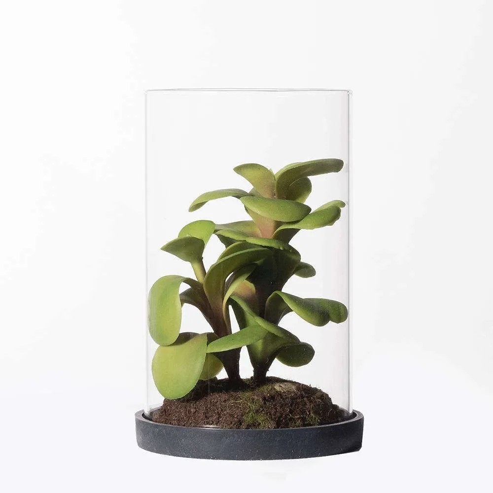 Τεχνητό Φυτό Κρασούλα Ovata 3260-6 15,5cm Green Supergreens Πολυαιθυλένιο