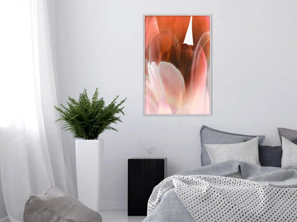 Αφίσα - Tulip Petals - 20x30 - Χρυσό - Με πασπαρτού