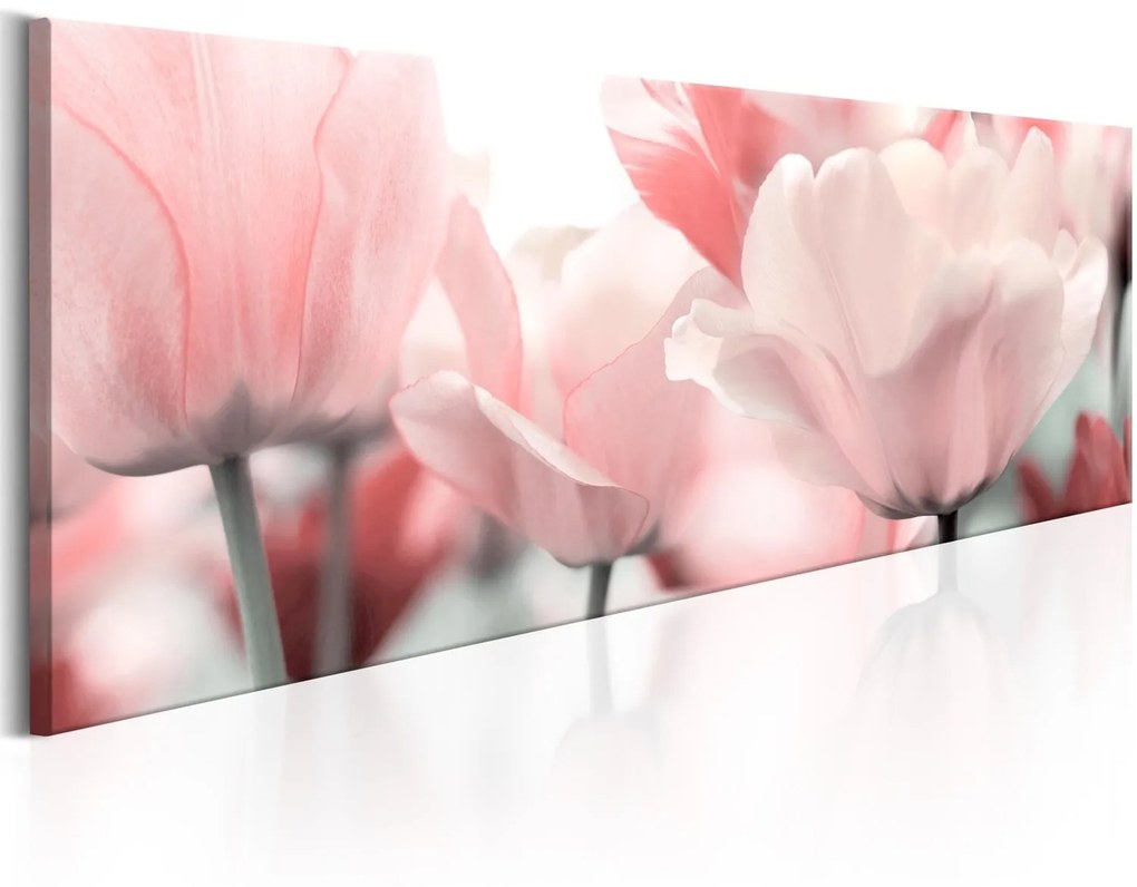 Πίνακας - Pink Tulips 135x45