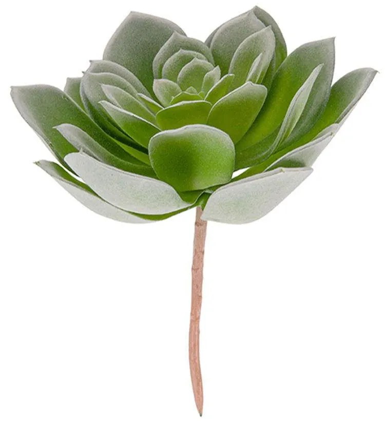 Τεχνητό Φυτό Hen Succelent Pick PT3662 17,8x14,7x19cm Green Present Time Plastic