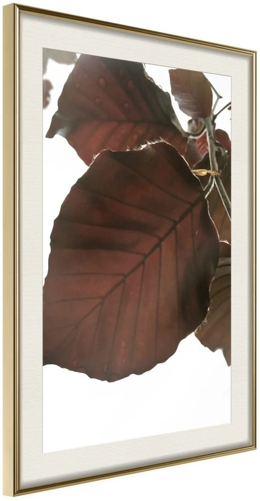 Αφίσα - Burgundy Tilia Leaf - 40x60 - Χρυσό - Με πασπαρτού