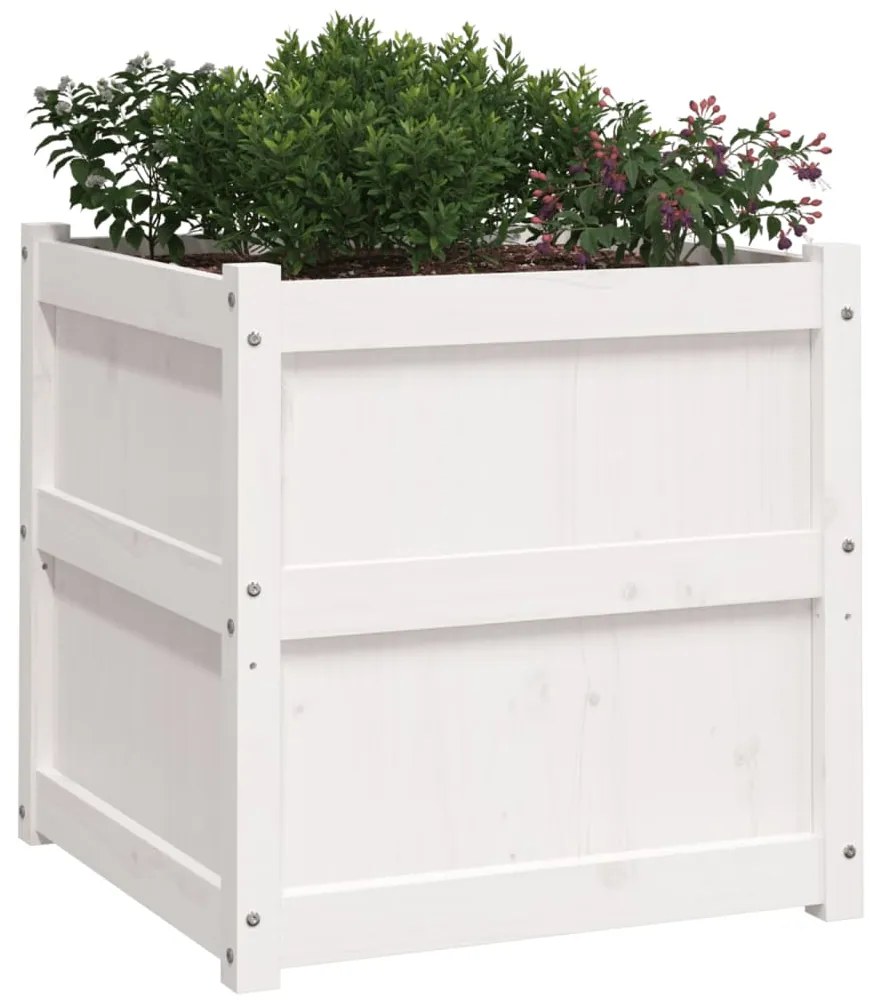vidaXL Ζαρντινιέρα Λευκή 60 x 60 x 60 εκ. από Μασίφ Ξύλο Πεύκου