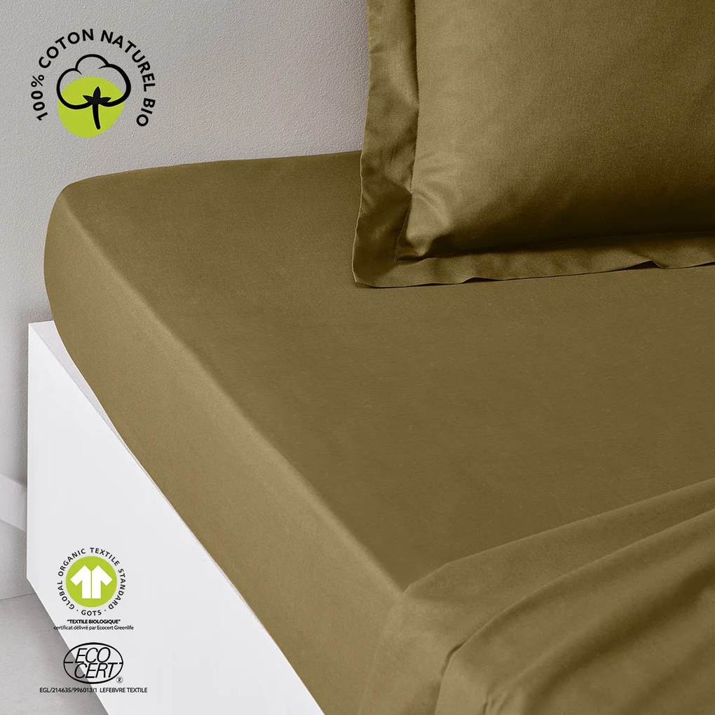 Σεντόνια με λάστιχο Today DH 90/190+23 Coton TODAY Organic Bronze
