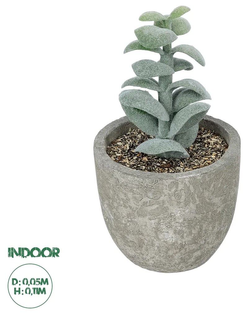 GloboStar® Artificial Garden SUCCULENT SEDEVERIA POTTED PLANT 21027 Διακοσμητικό Φυτό Σεδεβέρια  Φ5 x Υ11cm