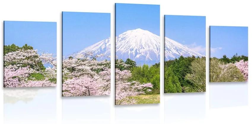 Εικόνα 5 μερών ηφαίστειο Fuji - 200x100
