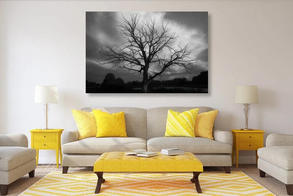 Εικόνα ενός ασπρόμαυρου δέντρου σε ένα λιβάδι - 60x40